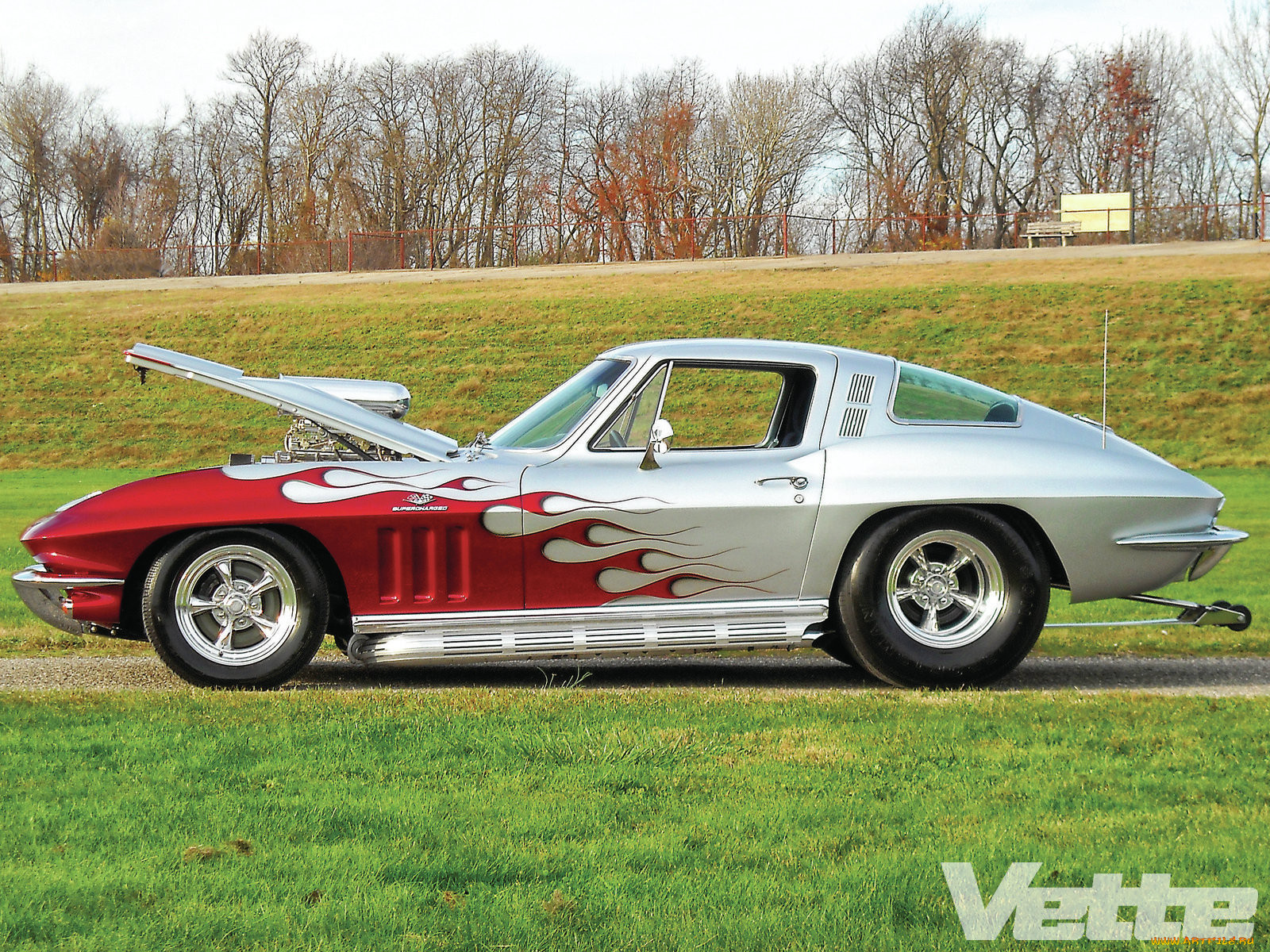 , corvette, sting